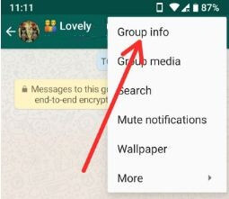 So verwenden Sie die neuen Funktionen der WhatsApp Group auf Android-Handys